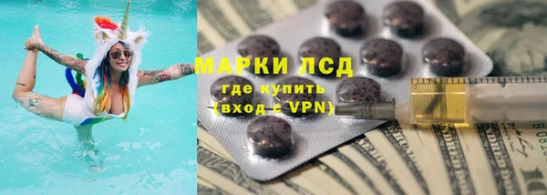 спайс Алзамай