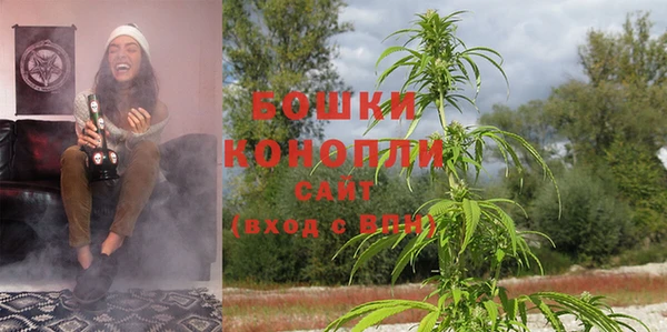 PSILOCYBIN Алексин