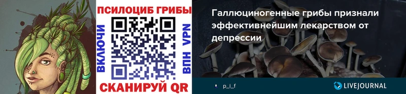 Галлюциногенные грибы Cubensis  что такое наркотик  Пласт 